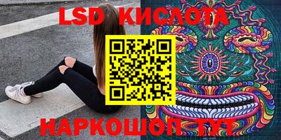 прущие грибы Кингисепп