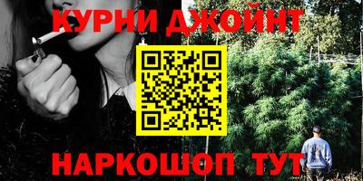 прущие грибы Кингисепп
