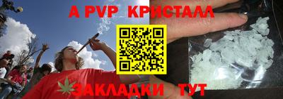 прущие грибы Кингисепп