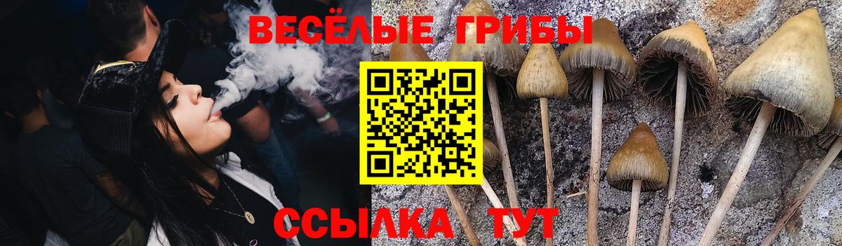 Галлюциногенные грибы Magic Shrooms  Вход с VPN  Елабуга 
